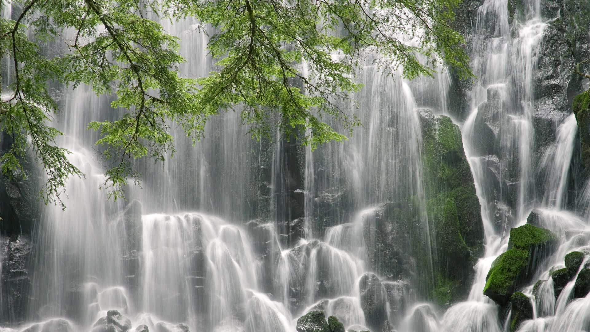 国产潜水装备品牌排行榜最新（中国潜水装备网）